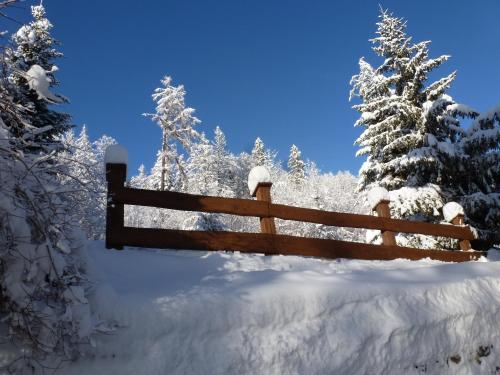 a wooden fence covered in snow next to trees at Erika penzión in Vysoké Tatry