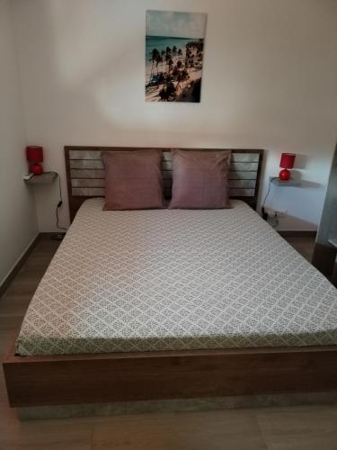 sypialnia z dużym łóżkiem z różowymi poduszkami w obiekcie Chez Monblanc w mieście Saint-Joseph