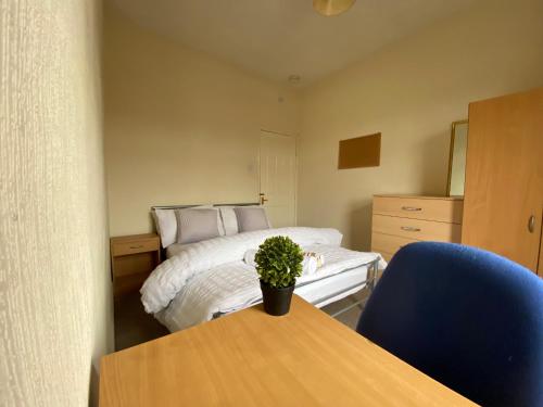 a bedroom with a bed and a table with a potted plant at Nice Living Serviced Accommodations 5 in Coventry