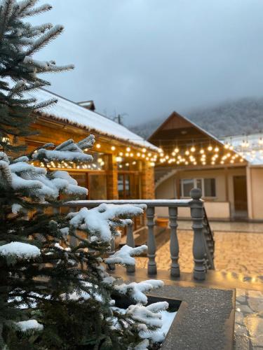 Ani Guest House