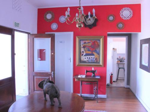 a dog standing on top of a table in a room at The Boston Guest House in Bellville