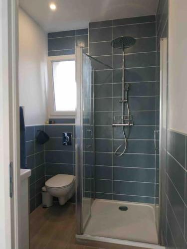 La salle de bains est pourvue de carrelage bleu, de toilettes et d'une douche. dans l'établissement Studio dans impasse proche plages Hossegor, à Bénesse-Maremne