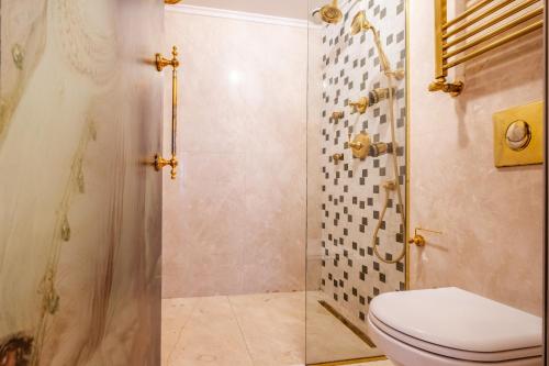 een badkamer met een toilet en een douche bij Lovely Studio in Historic Mansion in Beylerbeyi in Istanbul