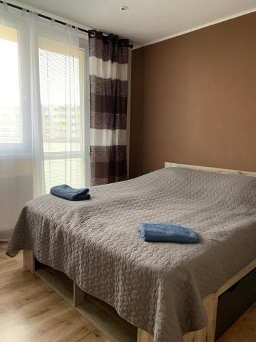 Un dormitorio con una cama con una almohada azul. en Apartment TT11, en Trnava