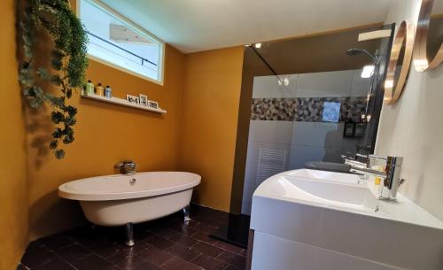 Vacation house Hooihuys – Photos 5