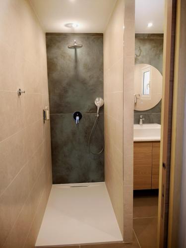 La salle de bains est pourvue d'une cabine de douche et d'un lavabo. dans l'établissement Résidence Cantu di Mare, à Olmeto