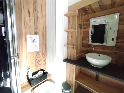 y baño con lavabo y espejo. en Chez Pierrot Chambres d'hôtes B&B en Vallouise