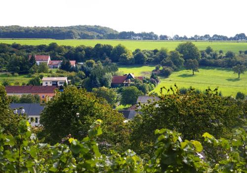a small town in a field with trees and houses at Kölliger Hirtenhaus in Köllig