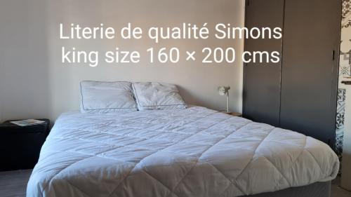 Posteľ alebo postele v izbe v ubytovaní Le Studio de la République