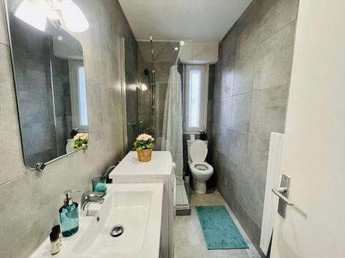 a bathroom with a sink and a toilet at Appartement Cosy Metz Sablons in Metz