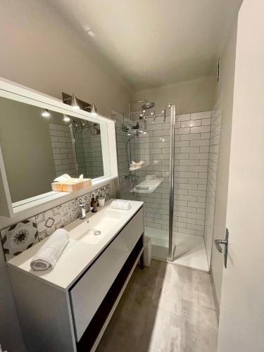 une salle de bain avec un lavabo et une douche dans l'établissement COSY HOME Annecy Rent Lodge, à Annecy