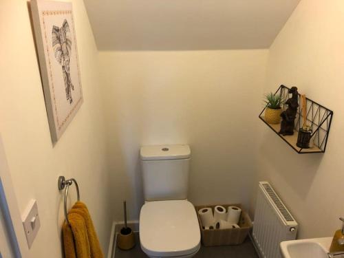 ein Bad mit einem WC und einem Waschbecken in der Unterkunft 4 bedroom luxurious detached home in Liskeard