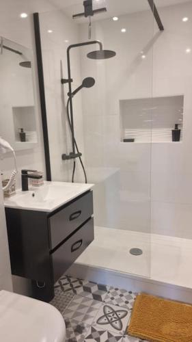 une salle de bain avec une douche, un lavabo et des toilettes dans l'établissement Appartement Cosy Saint Cyprien, à Saint-Cyprien