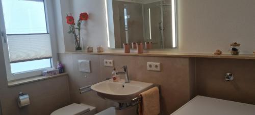 bagno con lavandino, servizi igienici e specchio di Ferienwohnung Helga Rossbach a Grassau