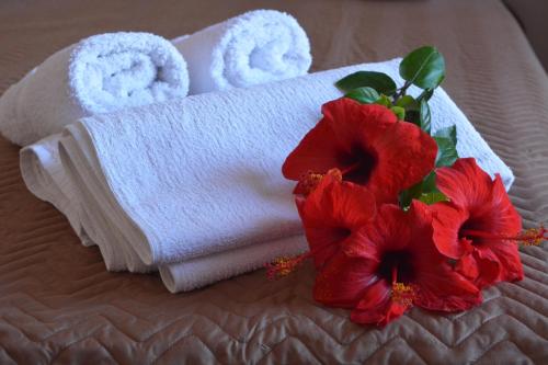 a towel and two red flowers on a bed at Elli Rooms in Patitiri