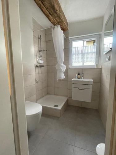 een badkamer met een toilet, een bad en een wastafel bij Hexenhüsli Waake 