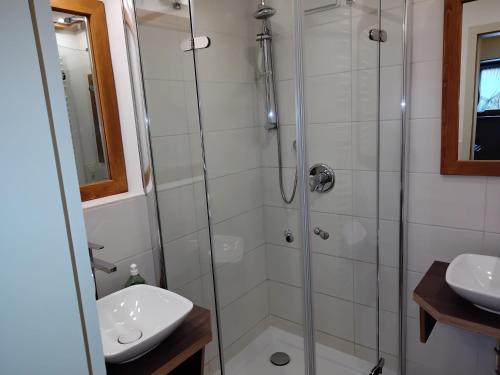 a bathroom with a shower and a sink at ciao-aschau Grenzhub FeWo 206 Puhlmann in Aschau