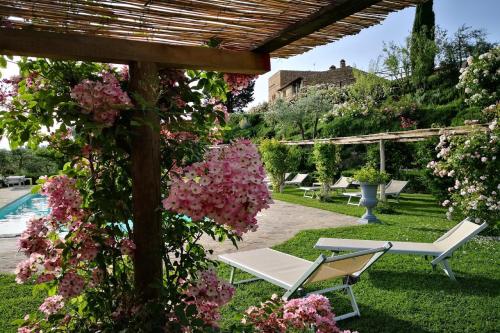 een tuin met 2 ligstoelen en roze bloemen bij Capanna Suites in Luia