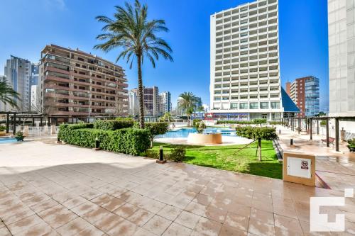 Apartamento Apolo XVI 1 19 - Grupo Turis