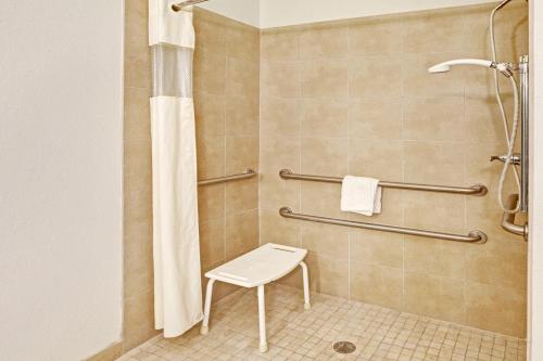 Bilik mandi di Scottish Inns and Suites - La Porte