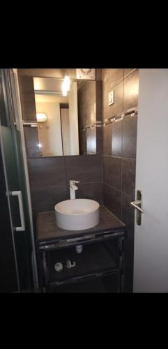 Kúpeľňa v ubytovaní 2 PIECES REZ DE JARDIN PORTICCIO
