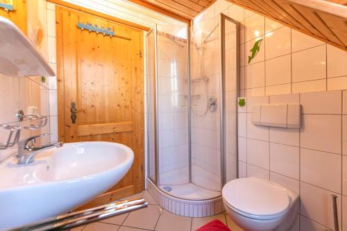 a bathroom with a shower and a sink and a toilet at Grießlhof in Pleystein