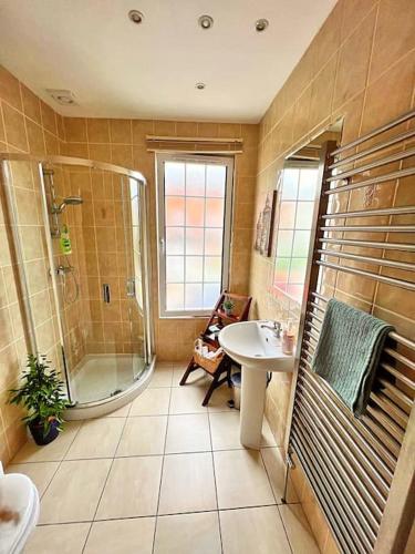 a bathroom with a shower and a sink at True Colours Apartment in Central Location in Bangor