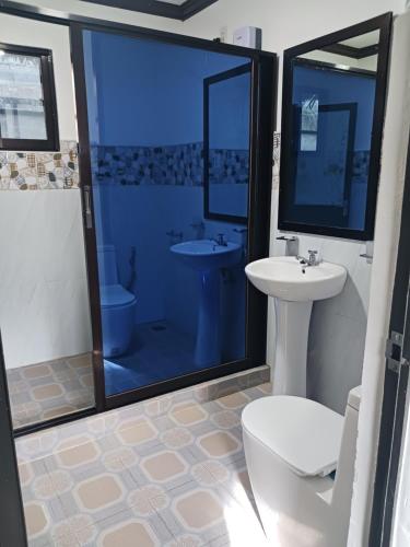 a bathroom with a shower and a sink and a toilet at Weeroona Huts Homestay Pacifico in San Isidro