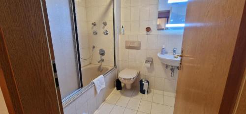 ein Bad mit einer Dusche, einem WC und einem Waschbecken in der Unterkunft ciao-aschau FeWo Schöne-Aussicht in Aschau