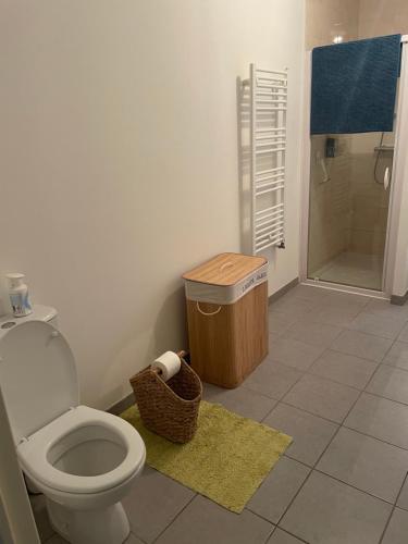 uma casa de banho com um WC e uma cabina de duche ao nível do chão em Appartement avec terrasse proche de Rennes em Saint-Jacques-de-la-Lande