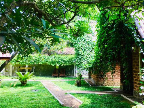 a garden with a house with ivy growing on it at Sky View Cabin Unawatuna in Unawatuna