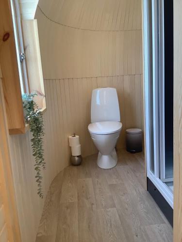 a bathroom with a white toilet in a room at SkyFall in Woodbridge