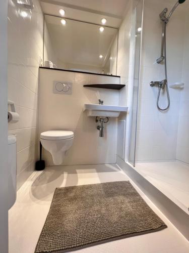 een badkamer met een toilet, een wastafel en een douche bij EMSLAND-CAMP 