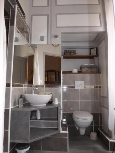 a bathroom with a sink and a toilet at HOTEL particulier LARIBOISIERE in Fougères