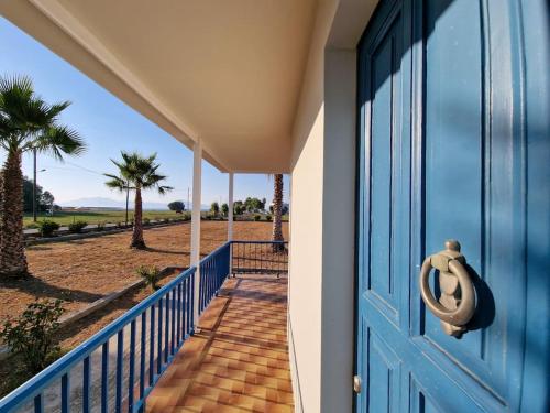 Beachlife: The Bungalow