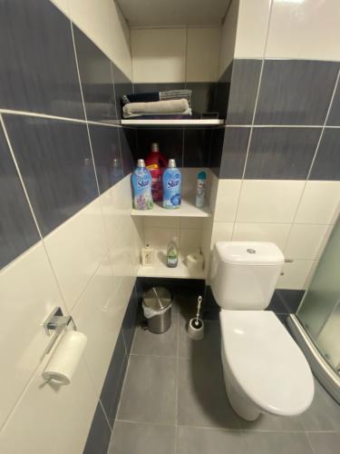 Koupelna v ubytování Apartmán v Lesní