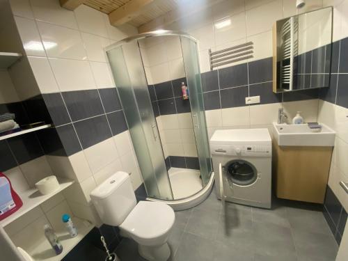 a bathroom with a toilet sink and a washing machine at Apartmán v Lesní in Jablonec nad Nisou