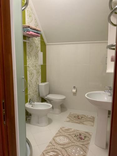 a bathroom with a toilet and a sink at Гостьовий двір РіОНІ in Truskavets