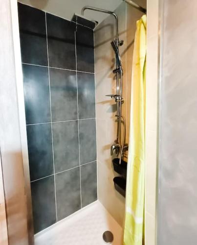 a shower in a bathroom with a glass door at Cosy Pyrénées - T3 - Vue sur le château & Garage in Pau