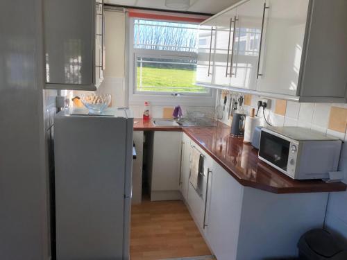 a kitchen with a white refrigerator and a microwave at Happy Chalet in Pembrokeshire