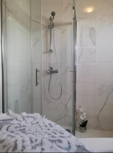 ein Bad mit einer Dusche und einer Glastür in der Unterkunft Apartment Dario in Zadar