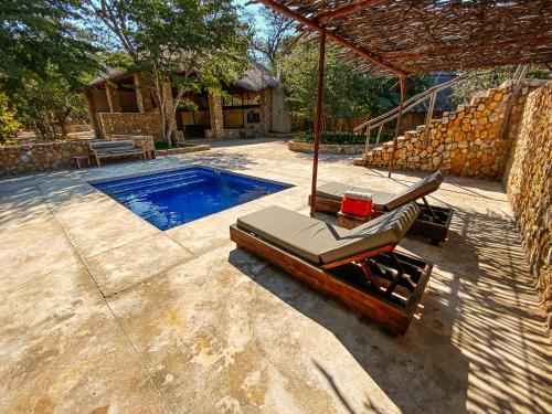 a swimming pool with two lounge chairs next to a house at Gwango Elephant Lodge in Dete