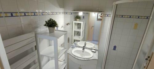 ラ・ロシェルにあるAu Jardinの白いバスルーム(シンク、シャワー付)