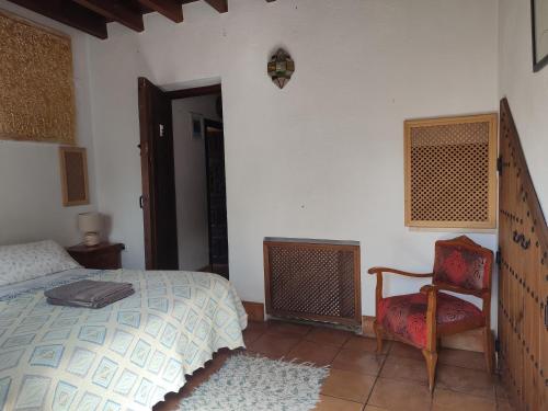 1 dormitorio con 1 cama y 1 silla en Fery & Nico, en Granada
