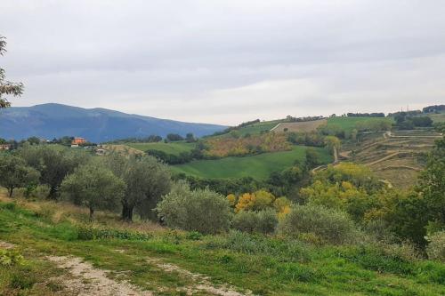 vista su un campo alberato e montano di La lepre nella Luna a Gualdo Tadino