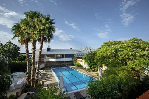 uma vista sobre uma piscina com palmeiras em ROBINSON APULIA - All Inclusive em Ugento