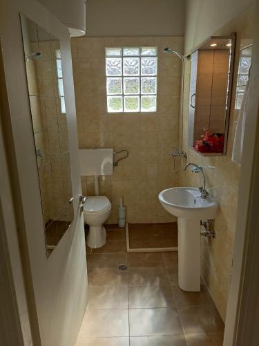 łazienka z umywalką i toaletą w obiekcie Marie-Angela HOUSE ARILLAS w Korfu