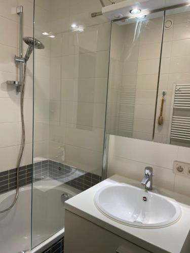 a bathroom with a sink and a shower at Marktplein Middelkerke in Middelkerke