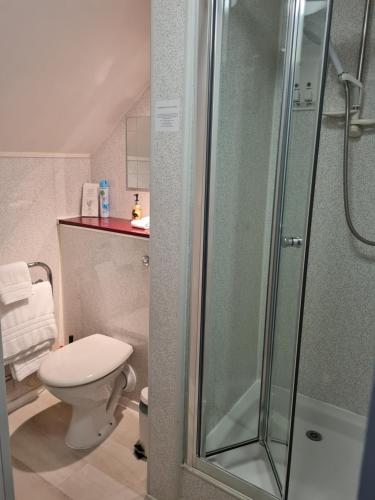 a bathroom with a toilet and a glass shower at Brookside Guest House & Mini Spa in Brixham