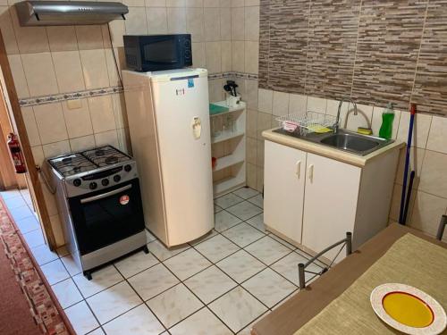 a small kitchen with a refrigerator and a sink at Cabañas Bosque Sur in Puerto Varas